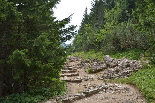 Zalety wynajmu apartamentu na wakacje w górach